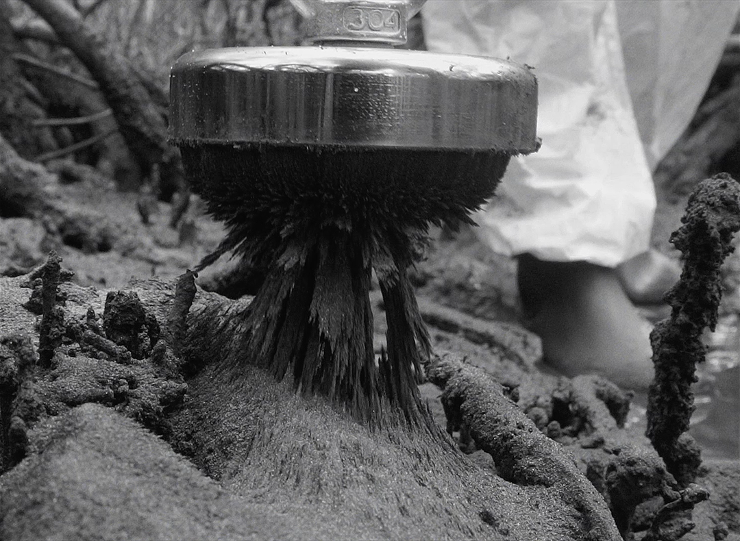 Screenshot du film « Caminho sinuoso »